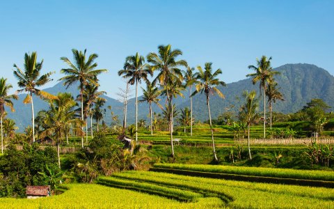 Indonezja - w krainie tysiąca wysp Jawa, Bali, Komodo Padar Island - widok na Agung na Bali (20).jpg